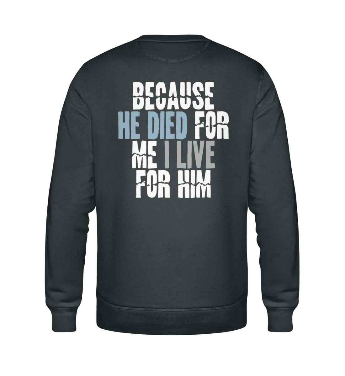 BECAUSE HE DIED STREETWEAR SWEATSHIRT BACKPRINT Roller Sweatshirt ST/ST Shirtee Anthrazit XS 