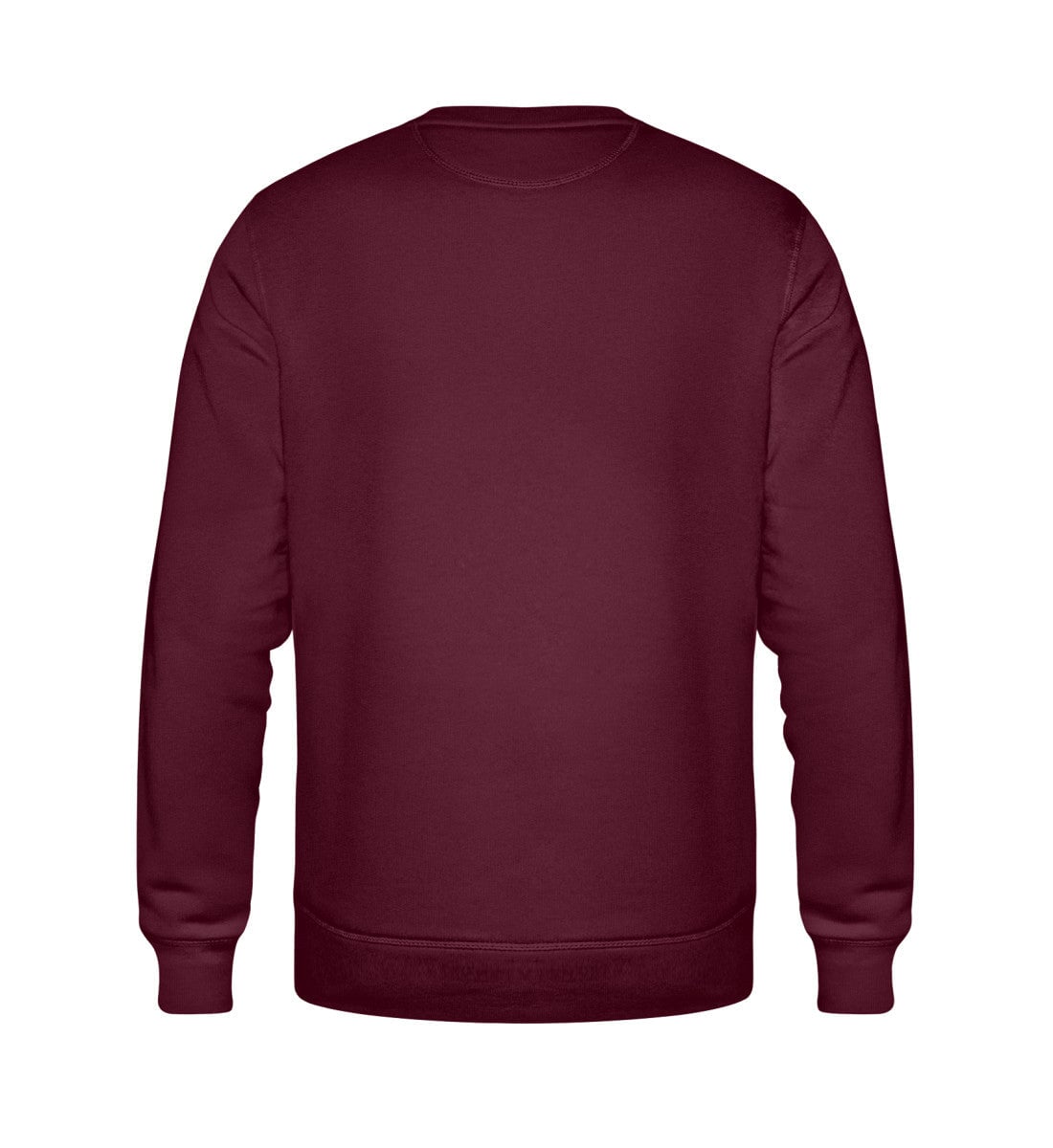 JESUS IS KING SWEATSHIRT Roller Sweatshirt ST/ST Shirtee 